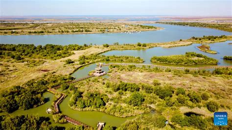 Dongying Yellow River Delta National Nature Reserve: Experience Unrivaled Biodiversity and Tranquil Scenic Beauty!