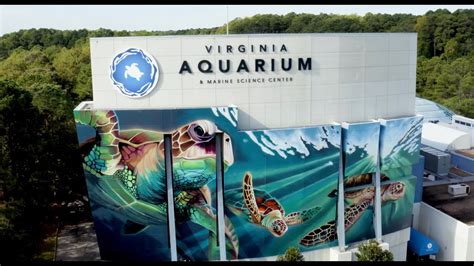 Virginia Aquarium & Marine Science Center: A Splash of Fun and Education for All Ages!